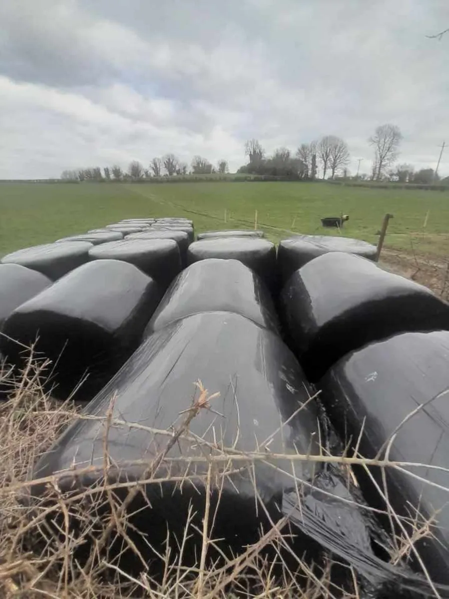 Silage Bales - Image 1
