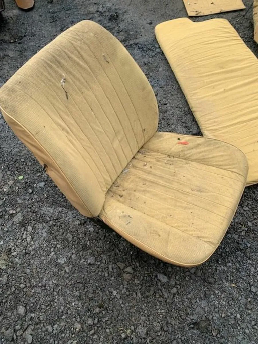 fiesta interior - Image 1