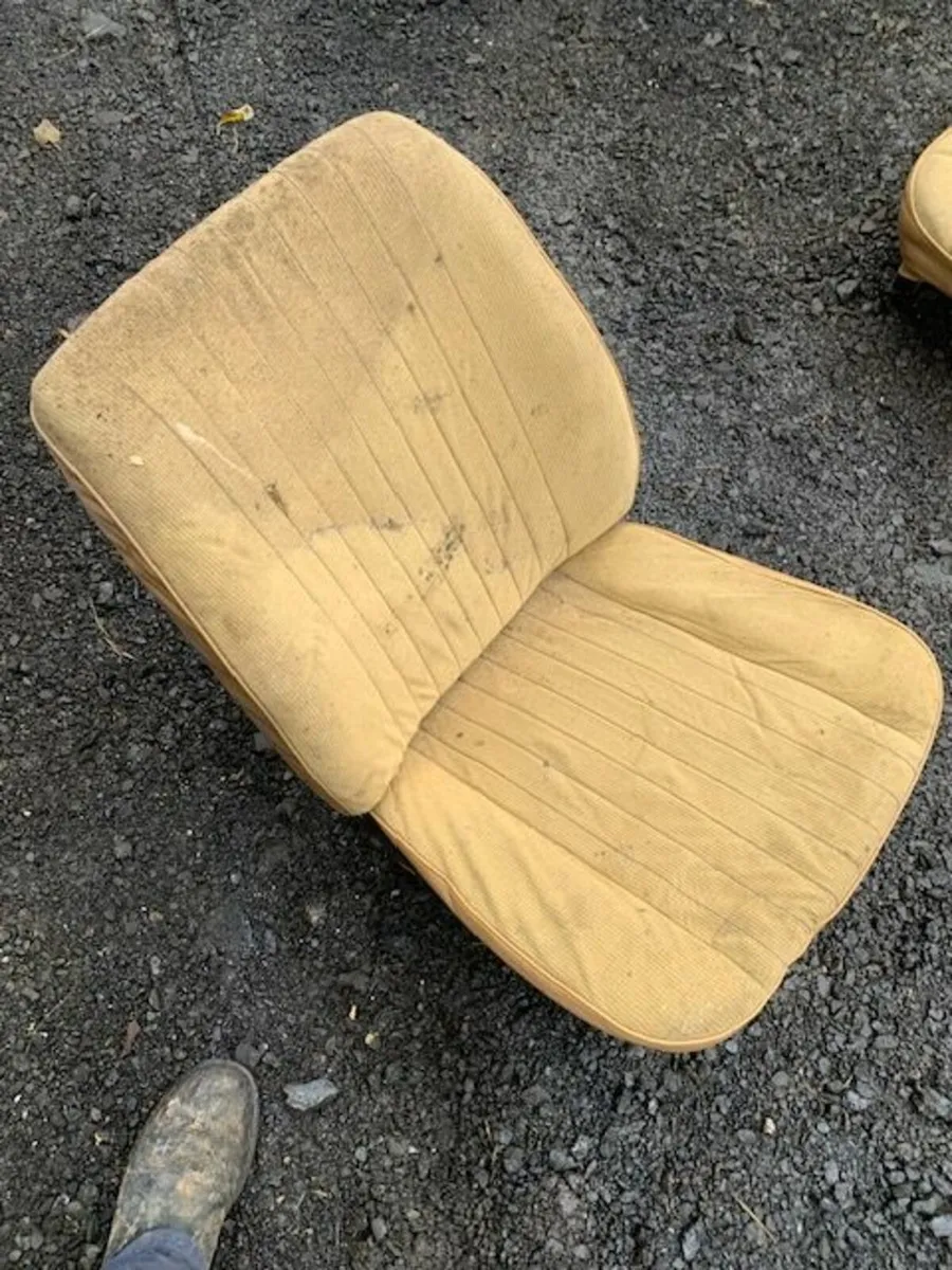 fiesta interior - Image 2