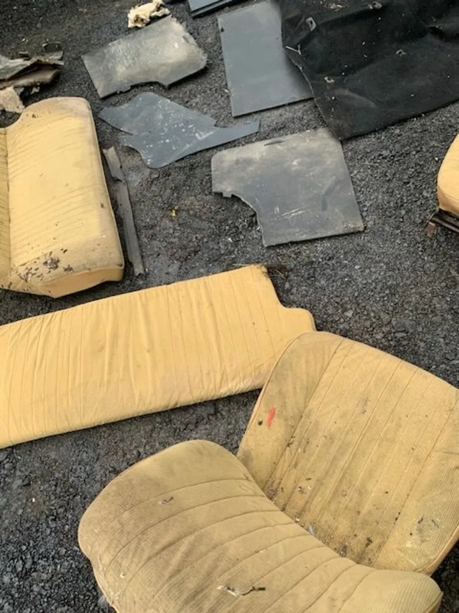 fiesta interior - Image 4