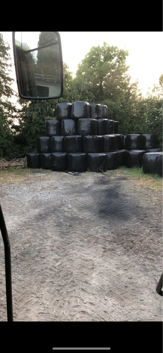 Bales of silage