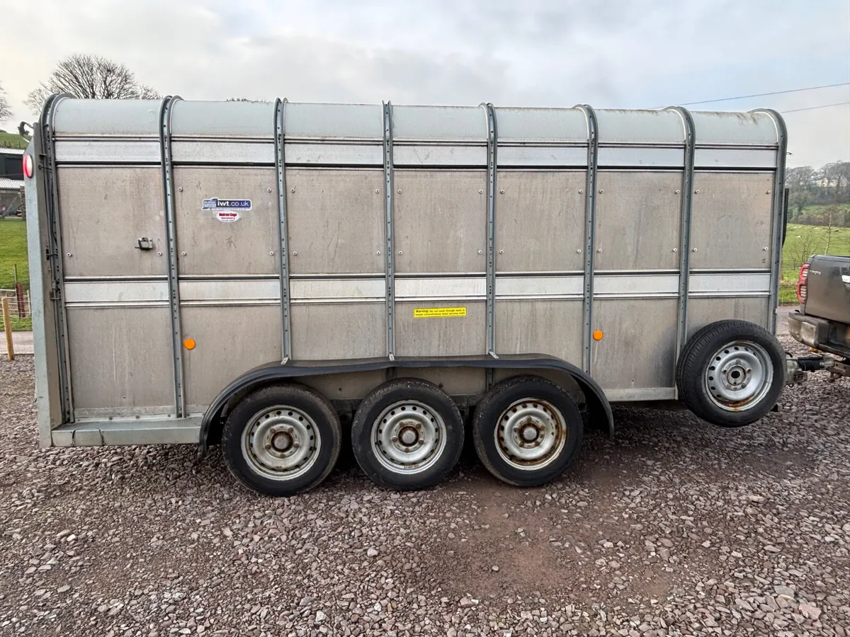 Ifor williams 14ft x 5ft10” Tri axle  trailer - Image 3
