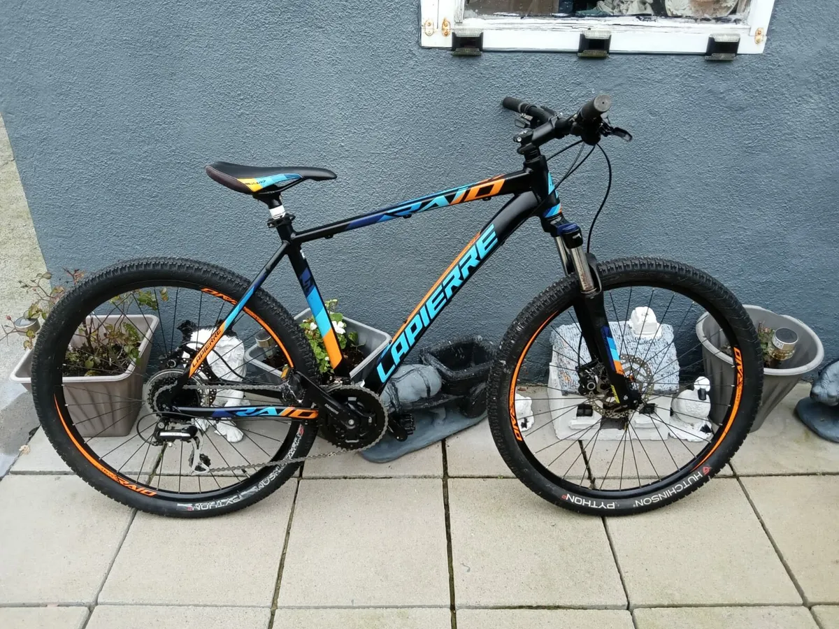 ADULTS BIKE - Image 1