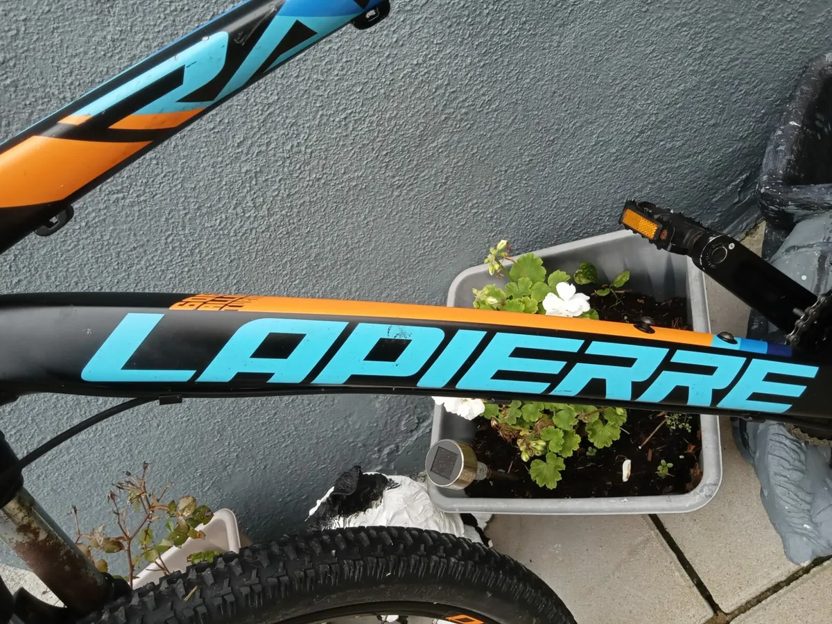 ADULTS BIKE - Image 2