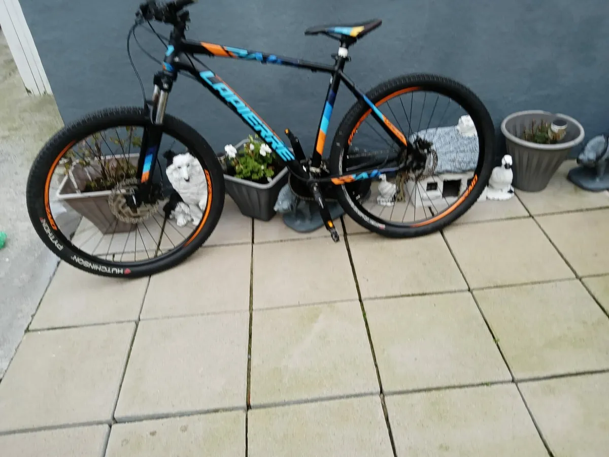 ADULTS BIKE - Image 3