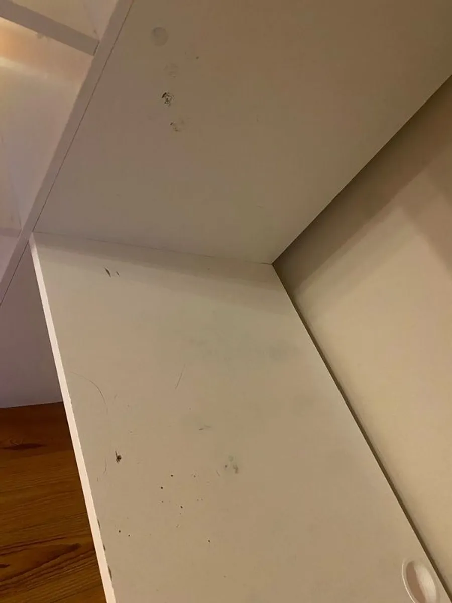 IKEA loft bed high sleeper - Image 4