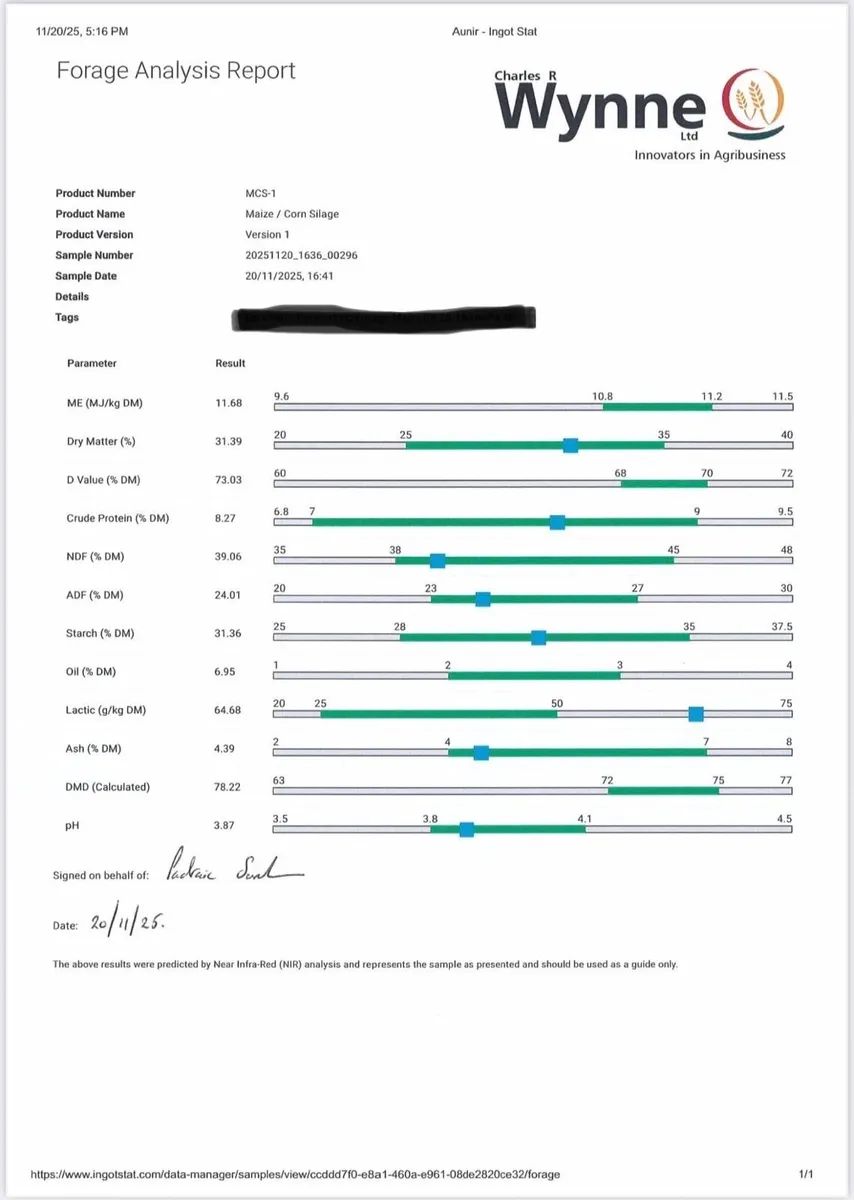 Maize Silage - Image 1