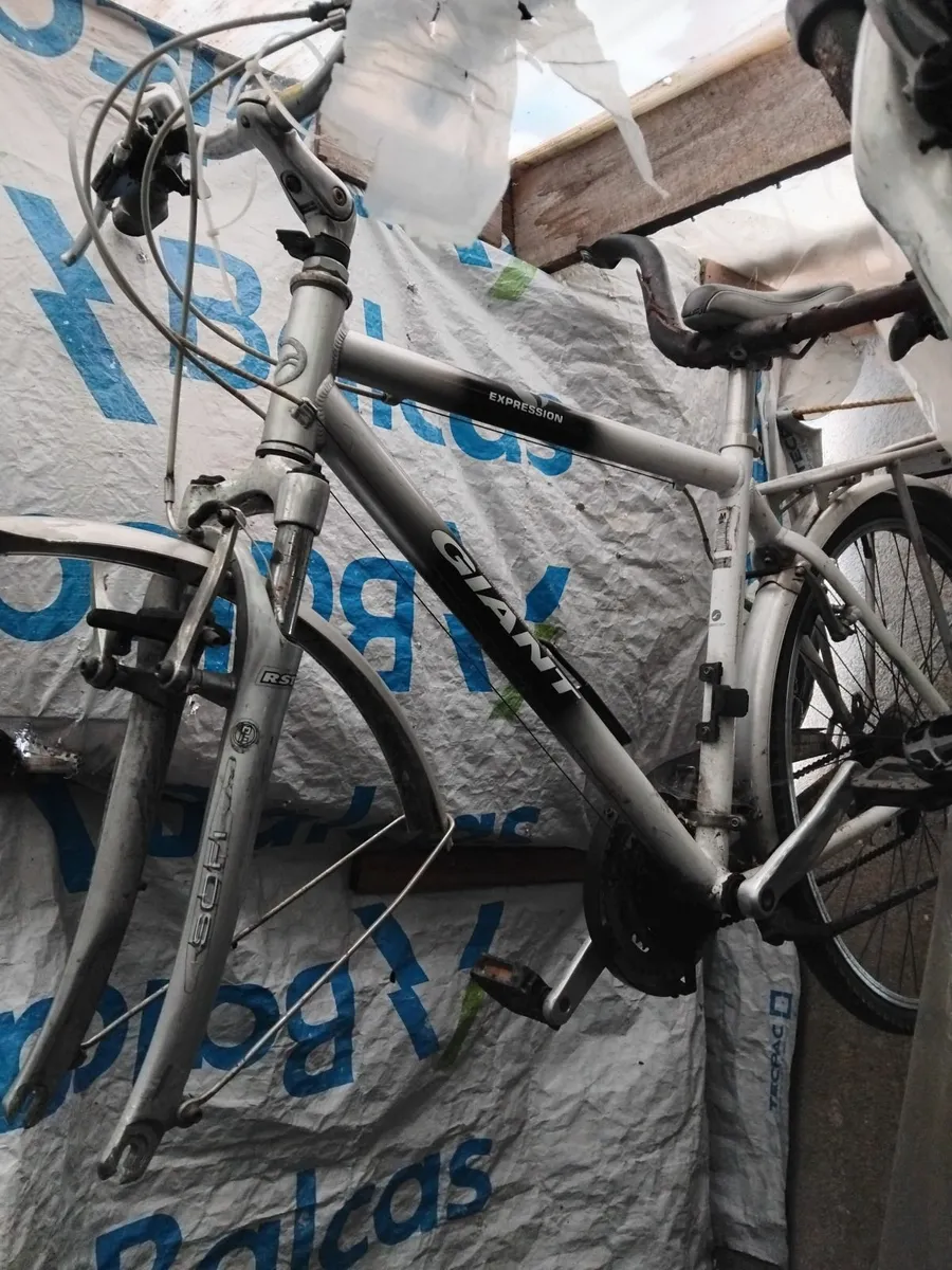 All bikes for sale 40e each no offers - Image 1