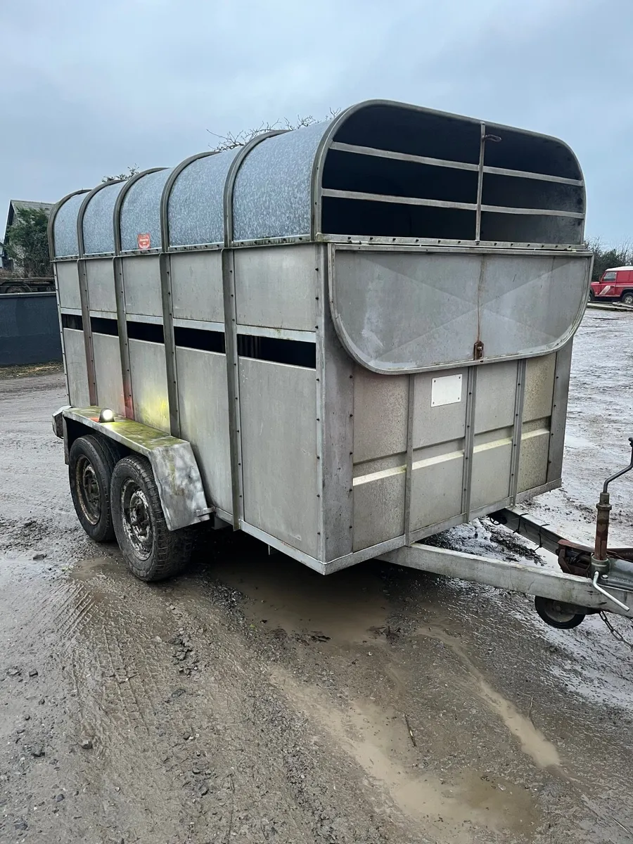 Cattle trailer - Image 1