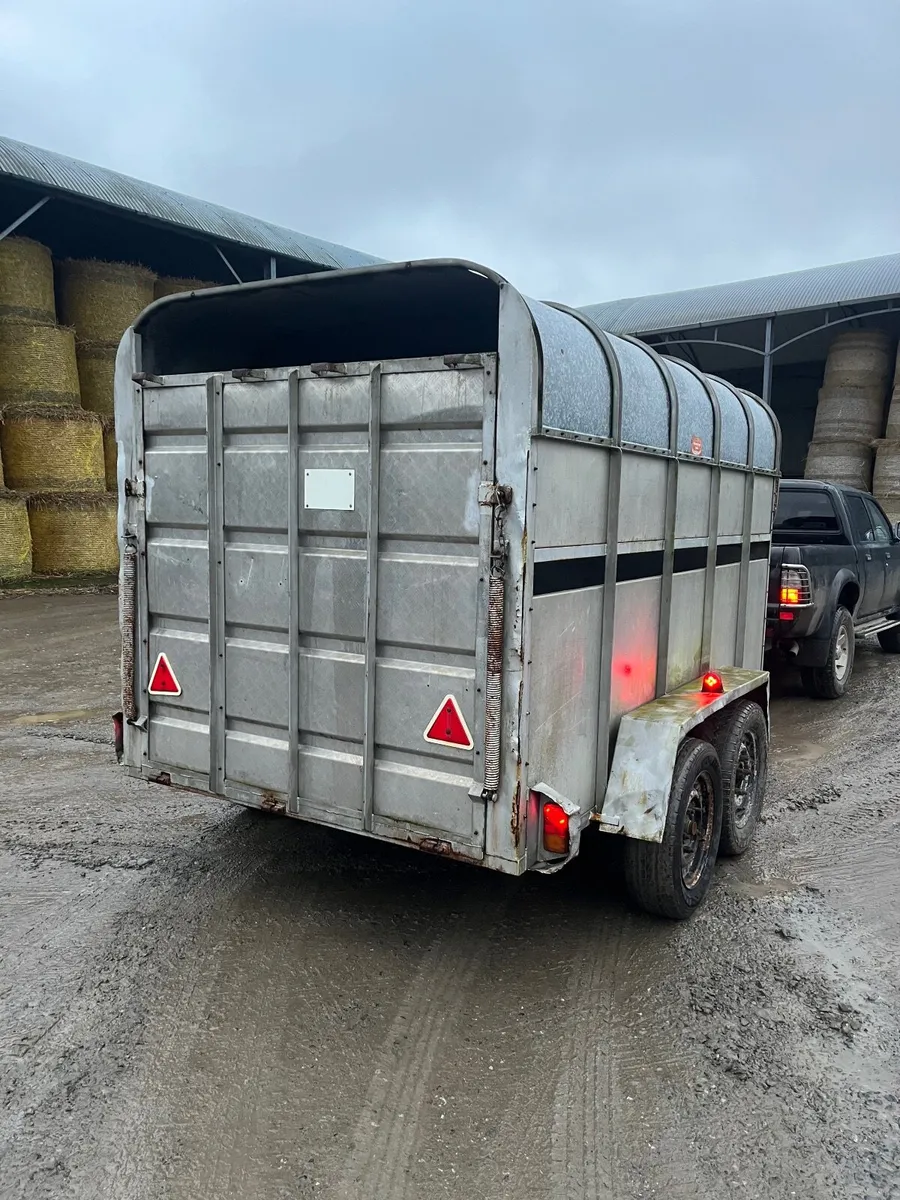 Cattle trailer - Image 2