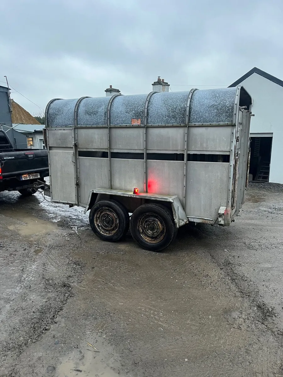 Cattle trailer - Image 3