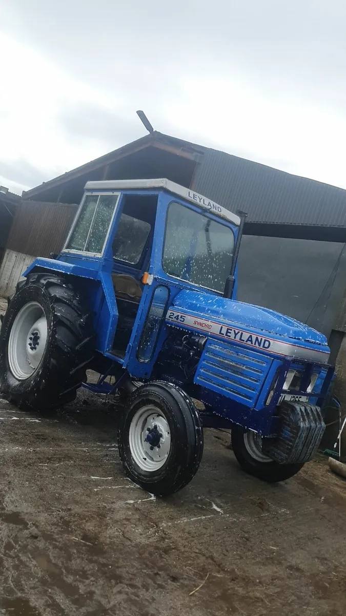 Leyland 245 - Image 1