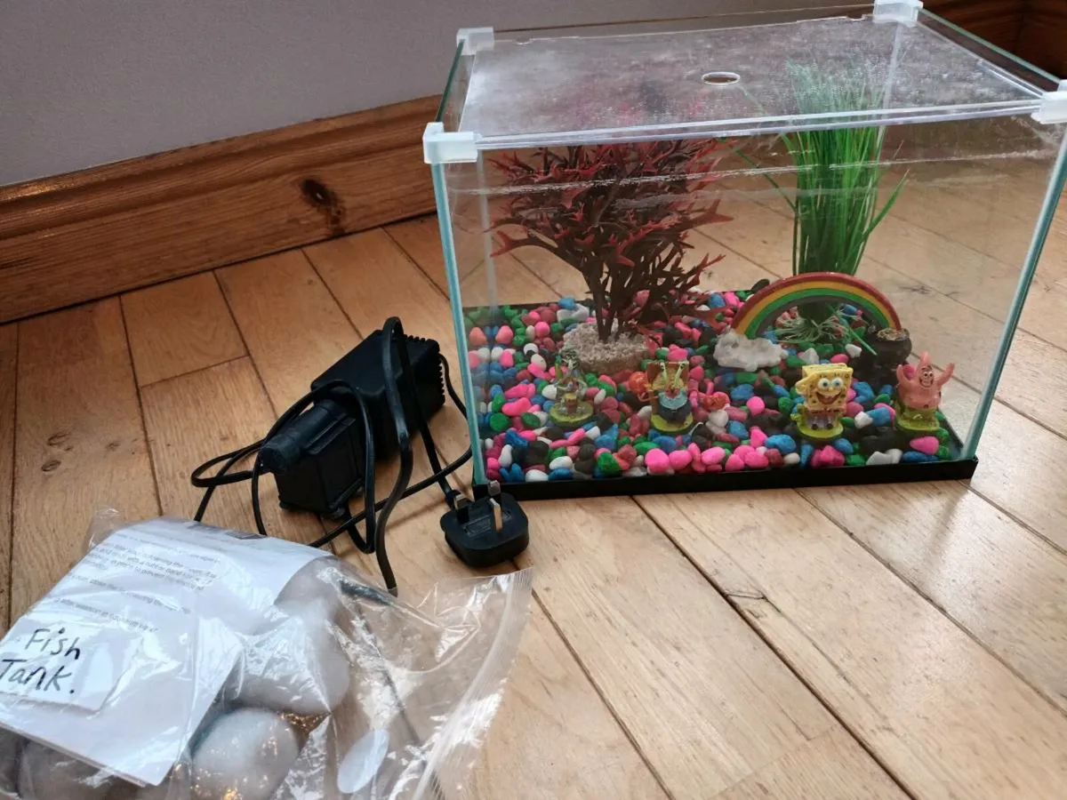 Starter fish tank - Image 1