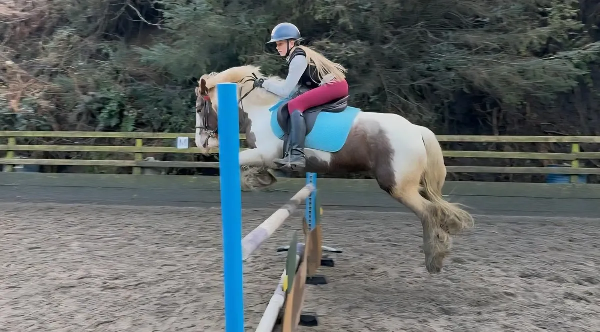 *** One in A Million Allrounder *** - Image 1