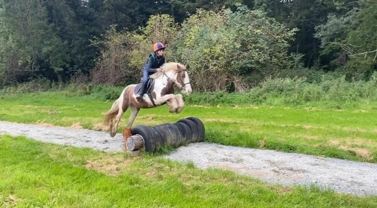 *** One in A Million Allrounder *** - Image 4