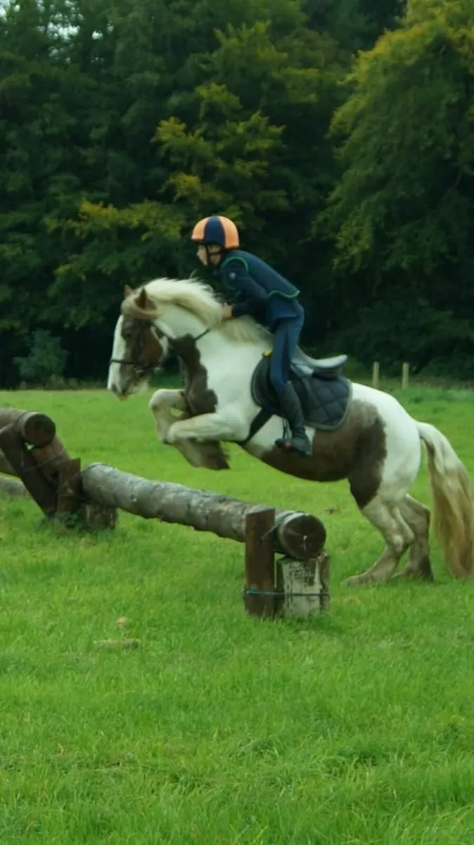 *** One in A Million Allrounder *** - Image 3