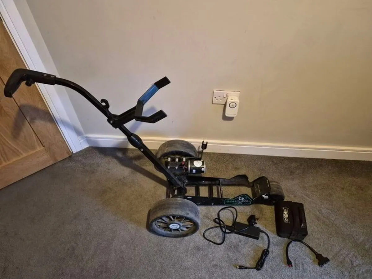 Electric Golf cart - Image 2