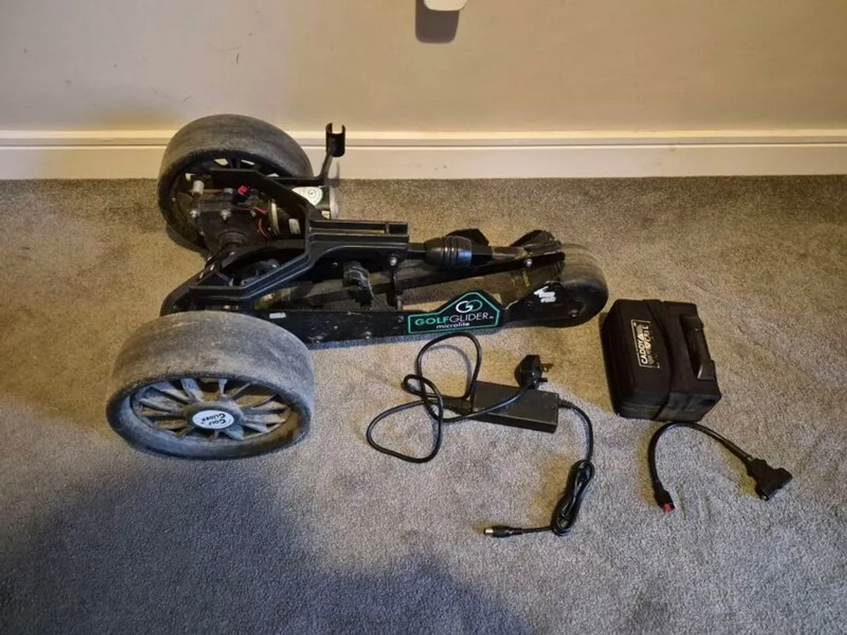 Electric Golf cart - Image 1