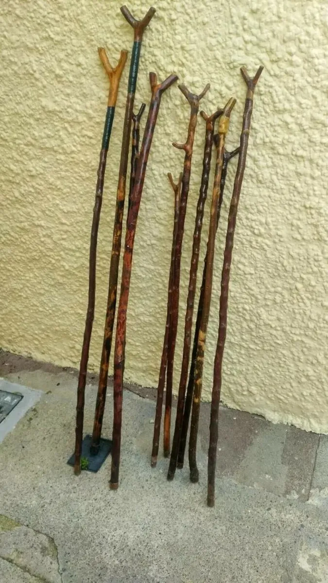 10. Blackthorn rambling sticks - Image 2