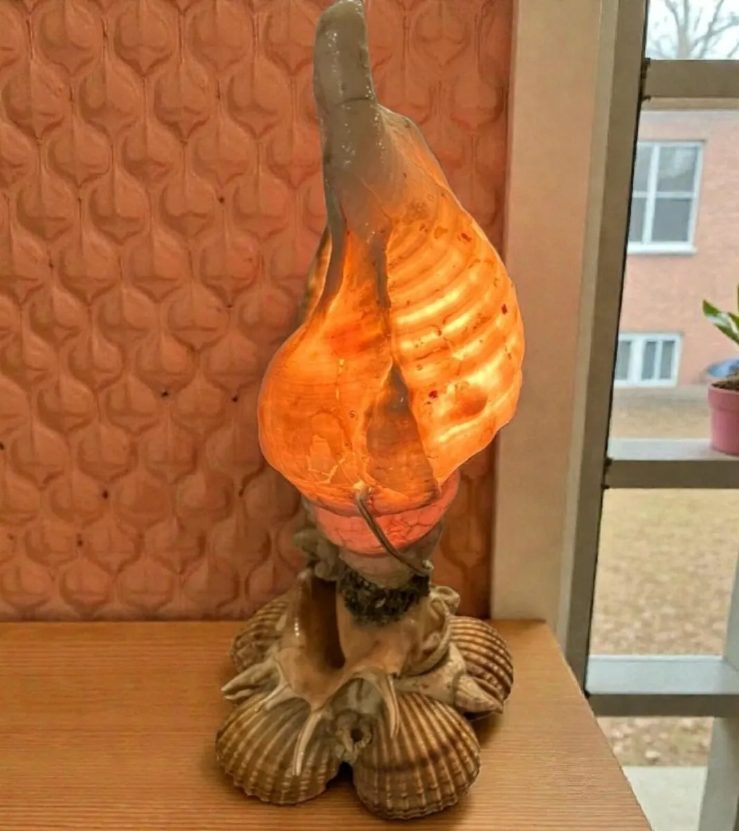 Unique seashell lamp - Image 2
