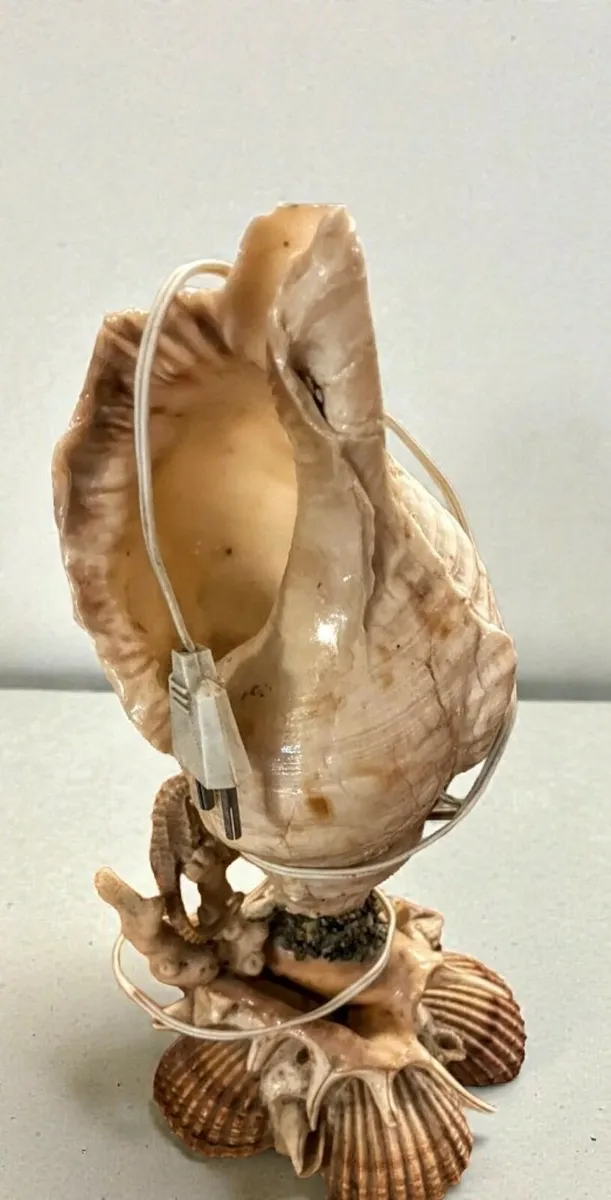 Unique seashell lamp - Image 3