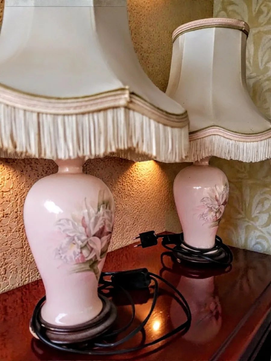Pair of beautiful hand painted lamps - Image 1