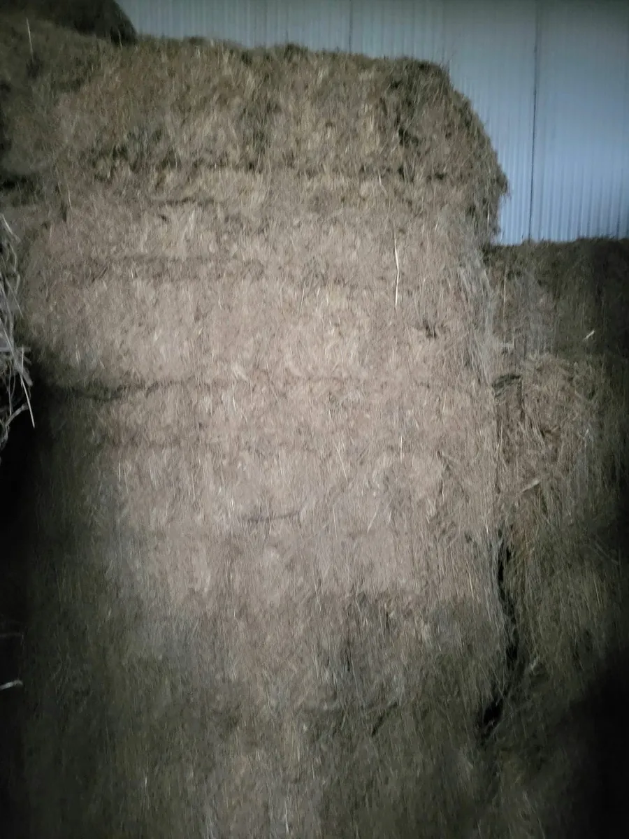 Hay & Straw - Image 1