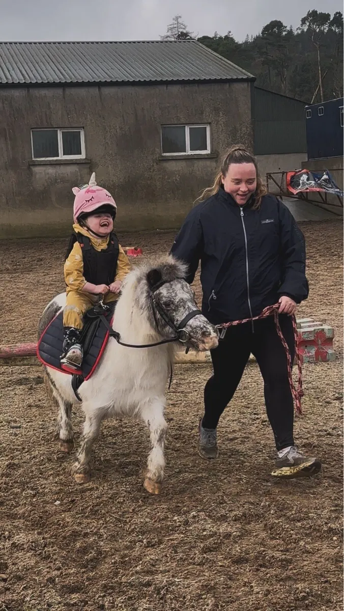 Shetland kids pony - Image 4