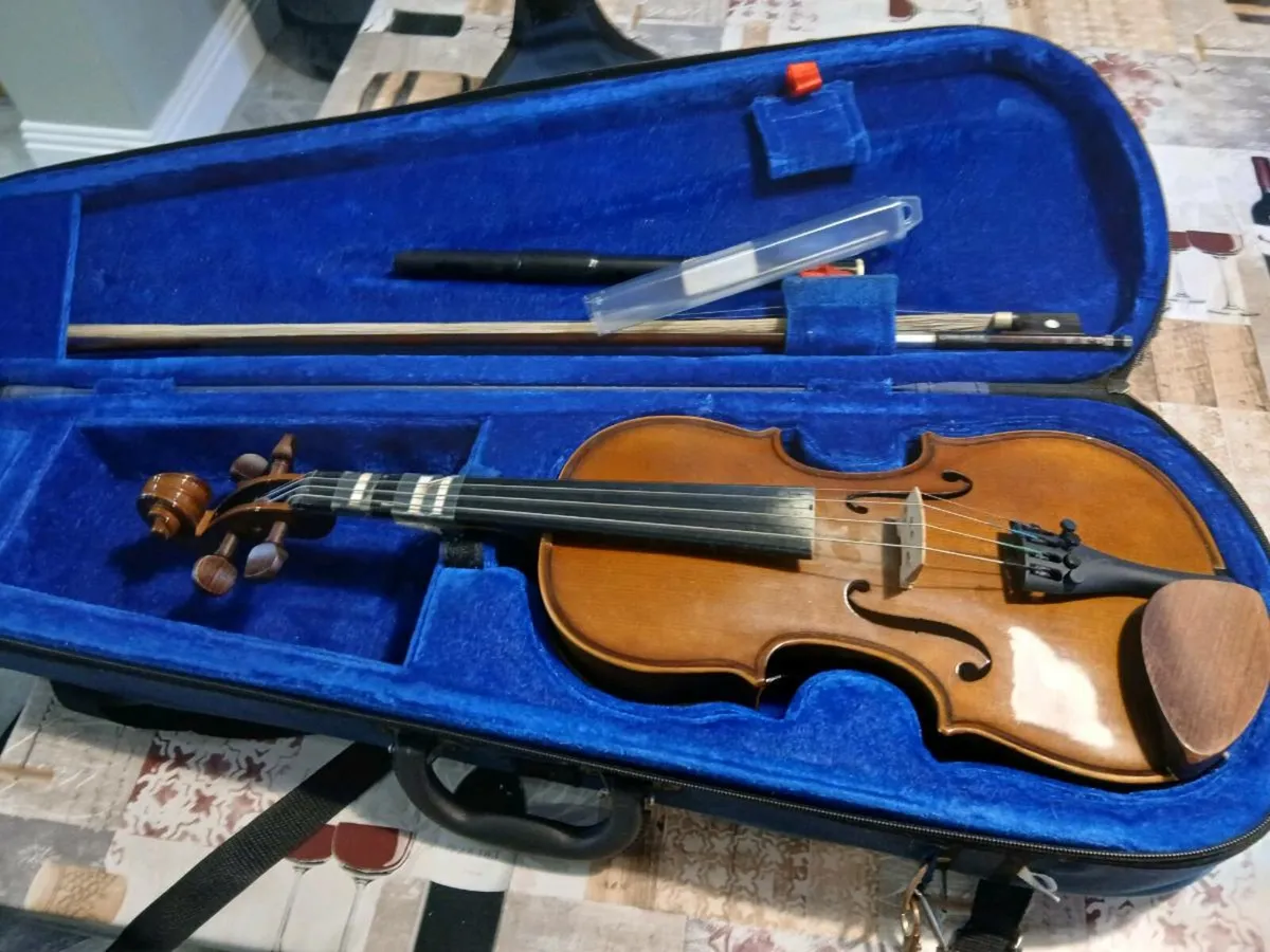 Violin