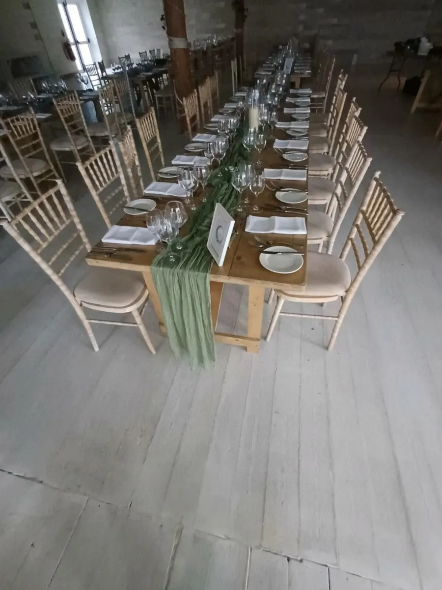 Chivary banqueting chairs - Image 3