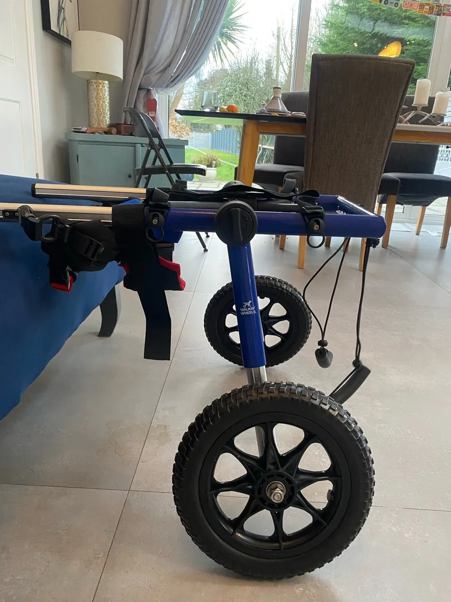 Zoomadog Large Dog Wheelchair (31-81kg, 20-25”) - Image 1