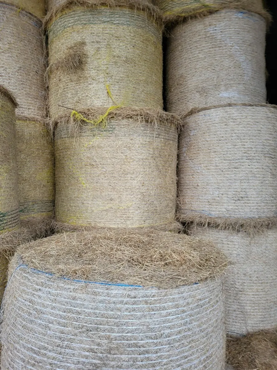 Hay & Straw - Image 2