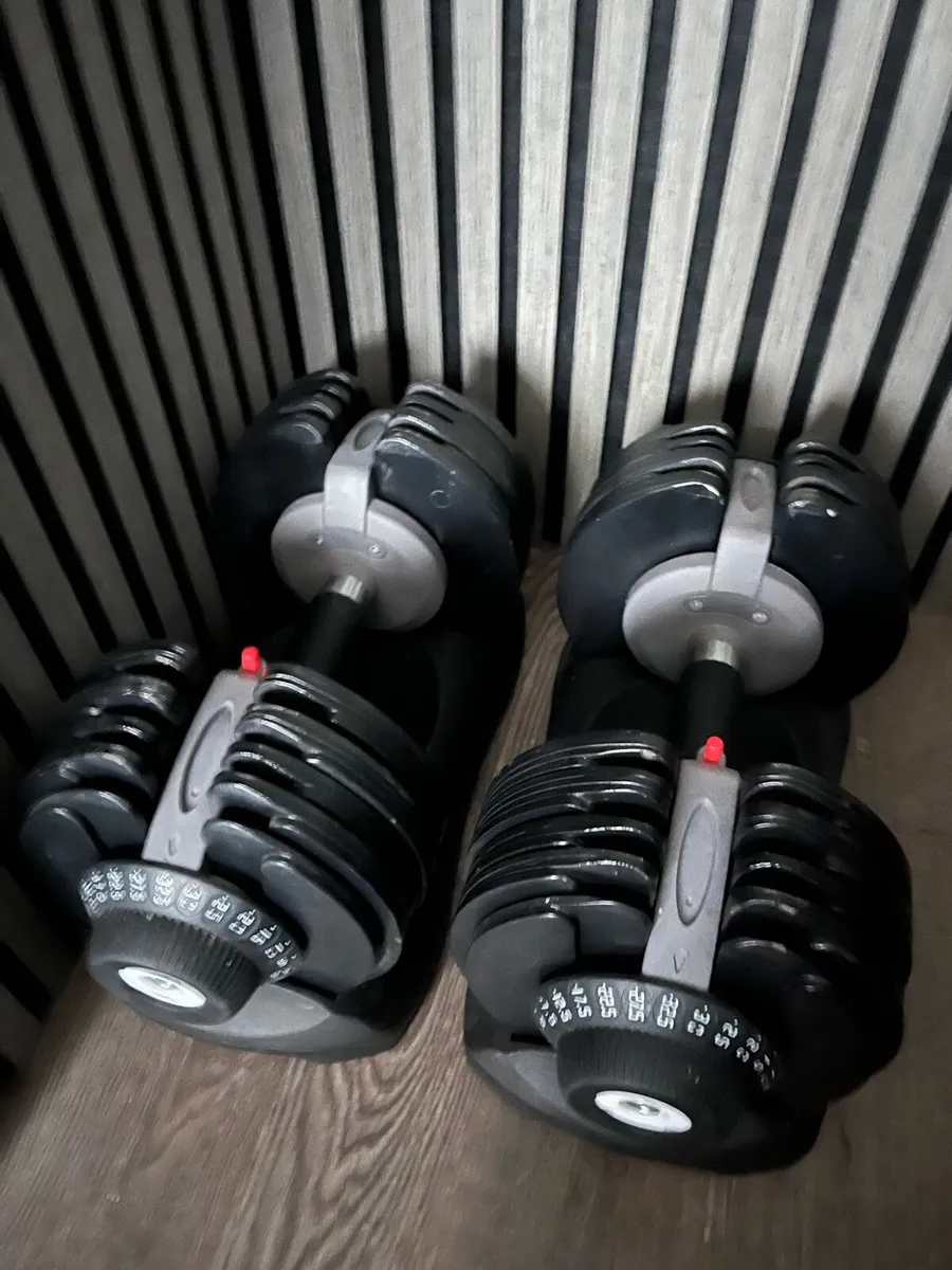 5-32.5kg select cast iron dumbbells - Image 1