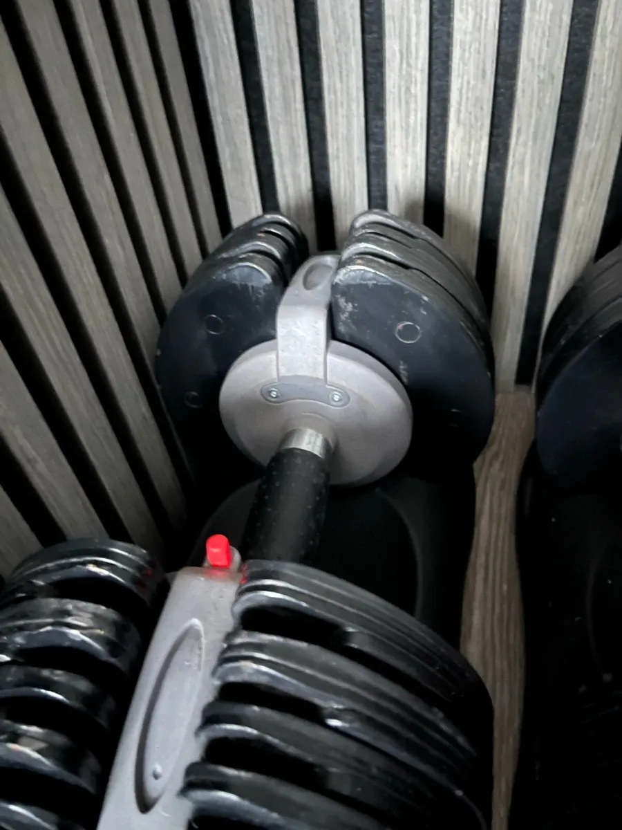 5-32.5kg select cast iron dumbbells - Image 3