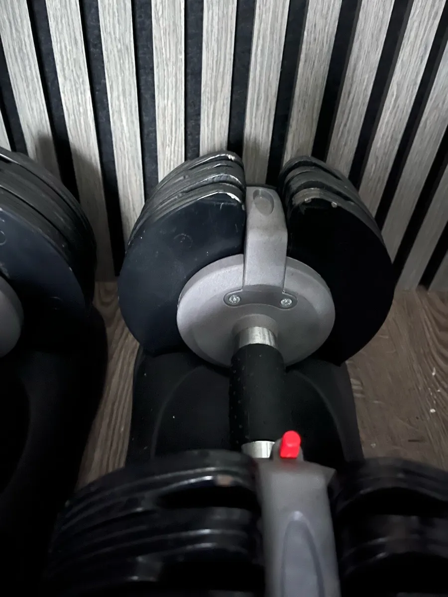 5-32.5kg select cast iron dumbbells - Image 4