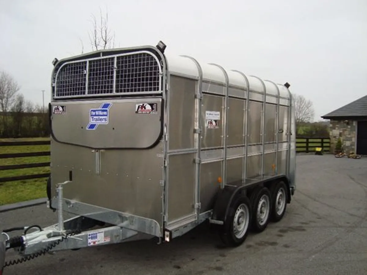 PK'S-IFOR WILLIAMS 12'x5'10'' TRI-AXLE LIVESTOCK - Image 2
