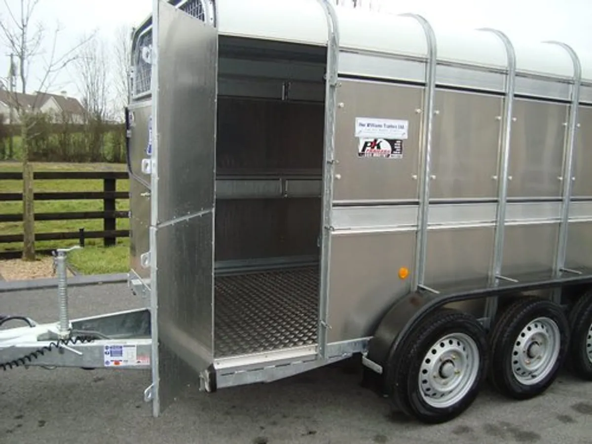 PK'S-IFOR WILLIAMS 12'x5'10'' TRI-AXLE LIVESTOCK - Image 3