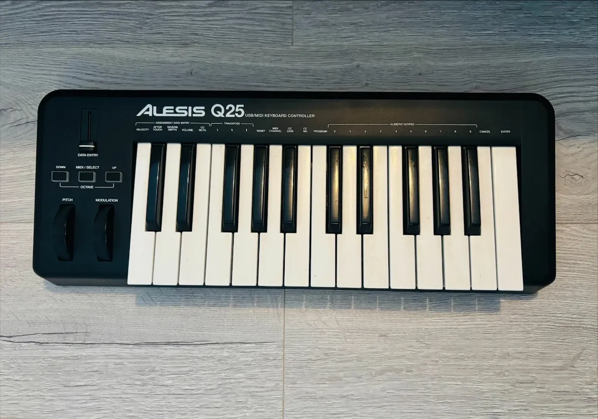 Pioneer Speakers and Studio Gear - Image 4