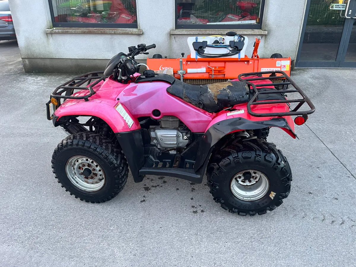 Trade Sale - Honda TRX 250 - Image 3