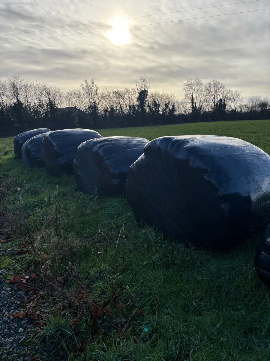 Silage Bales