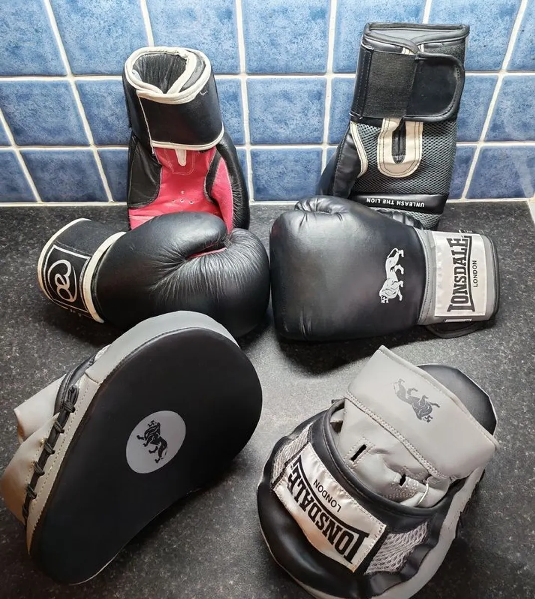 Boxing Gloves & Sparring Mitts - Image 2
