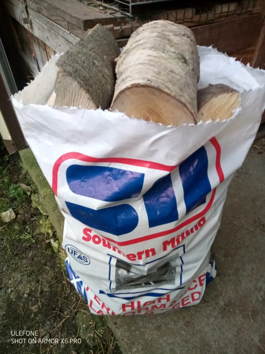 Fire wood - Image 1