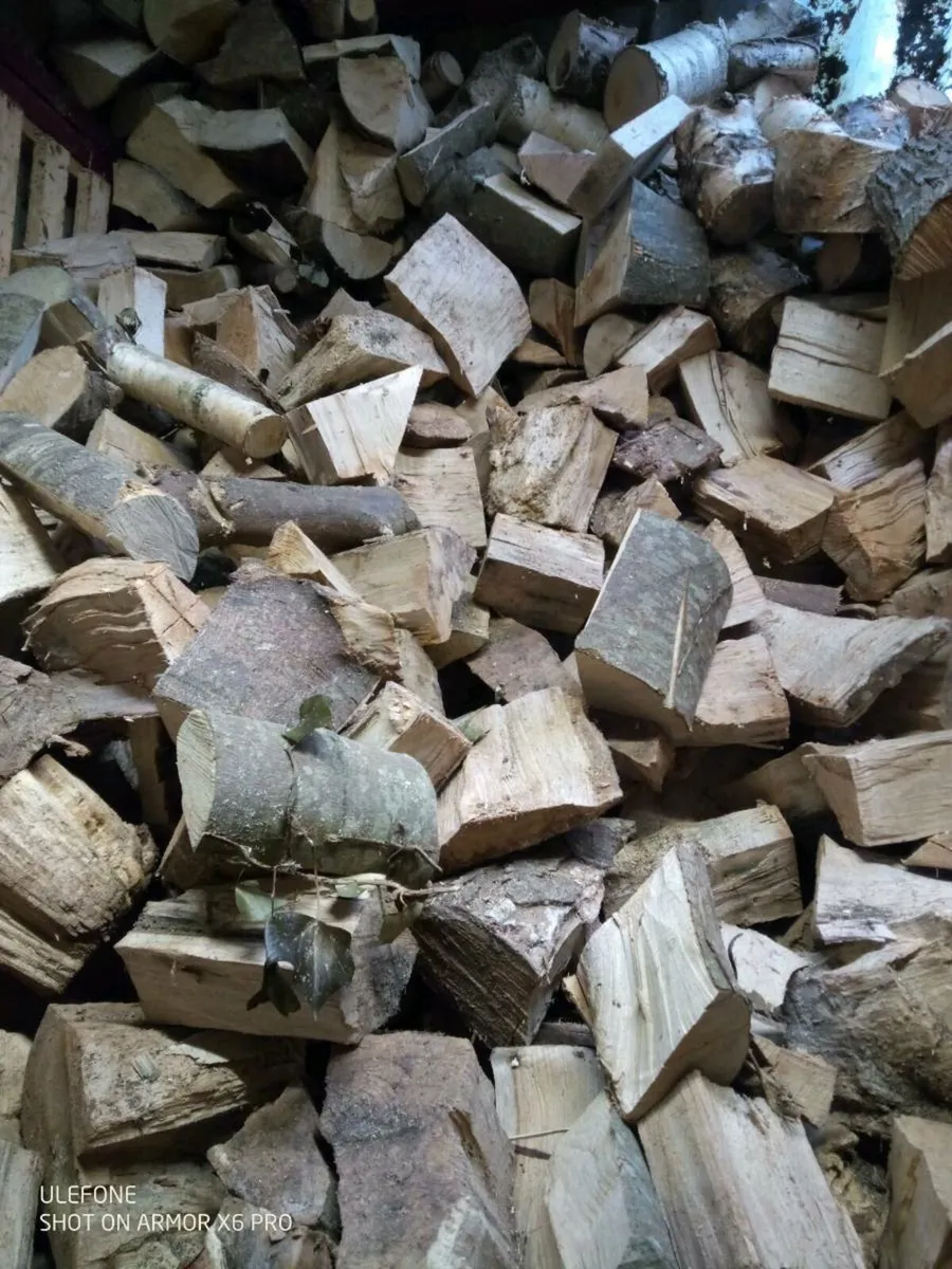Fire wood - Image 2