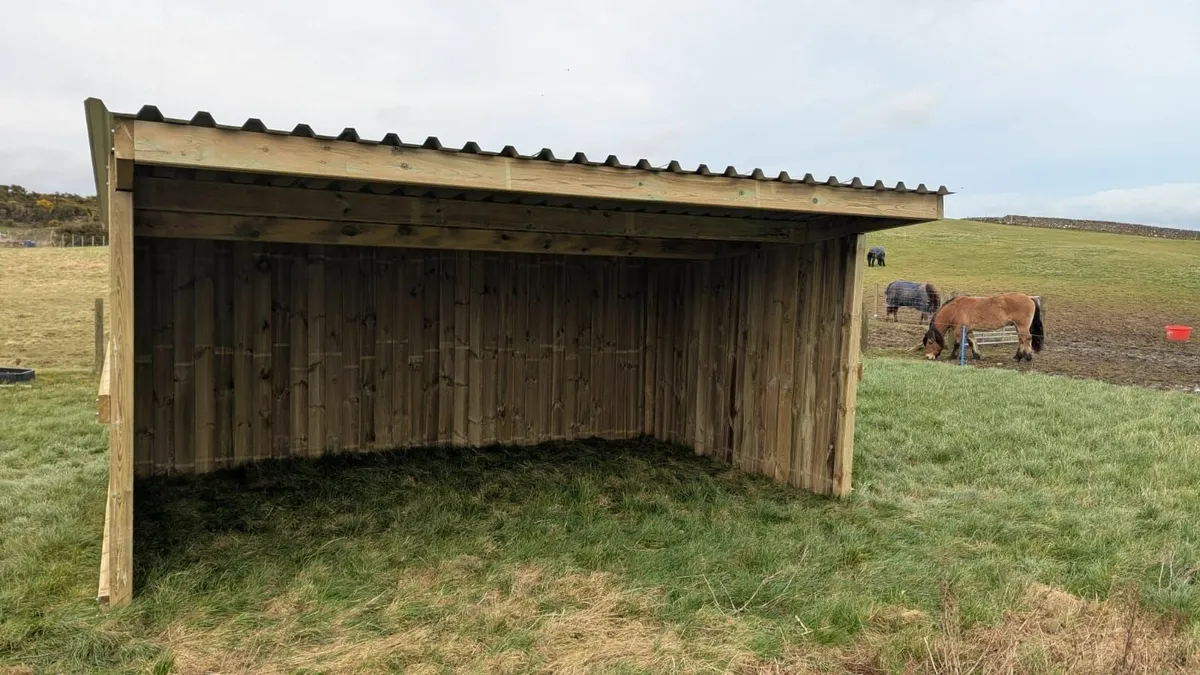 Horse Field Shelter - The Classic Field Shelter - Image 1