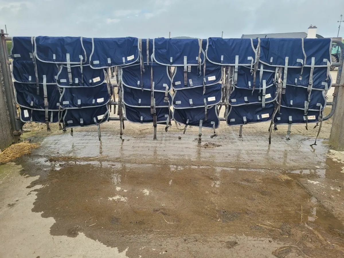 Calf Jackets - Image 1