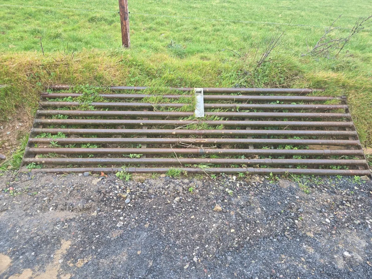 Cattle Grid
