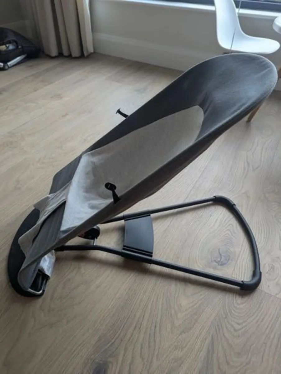 Babybjorn baby bouncer - Image 2