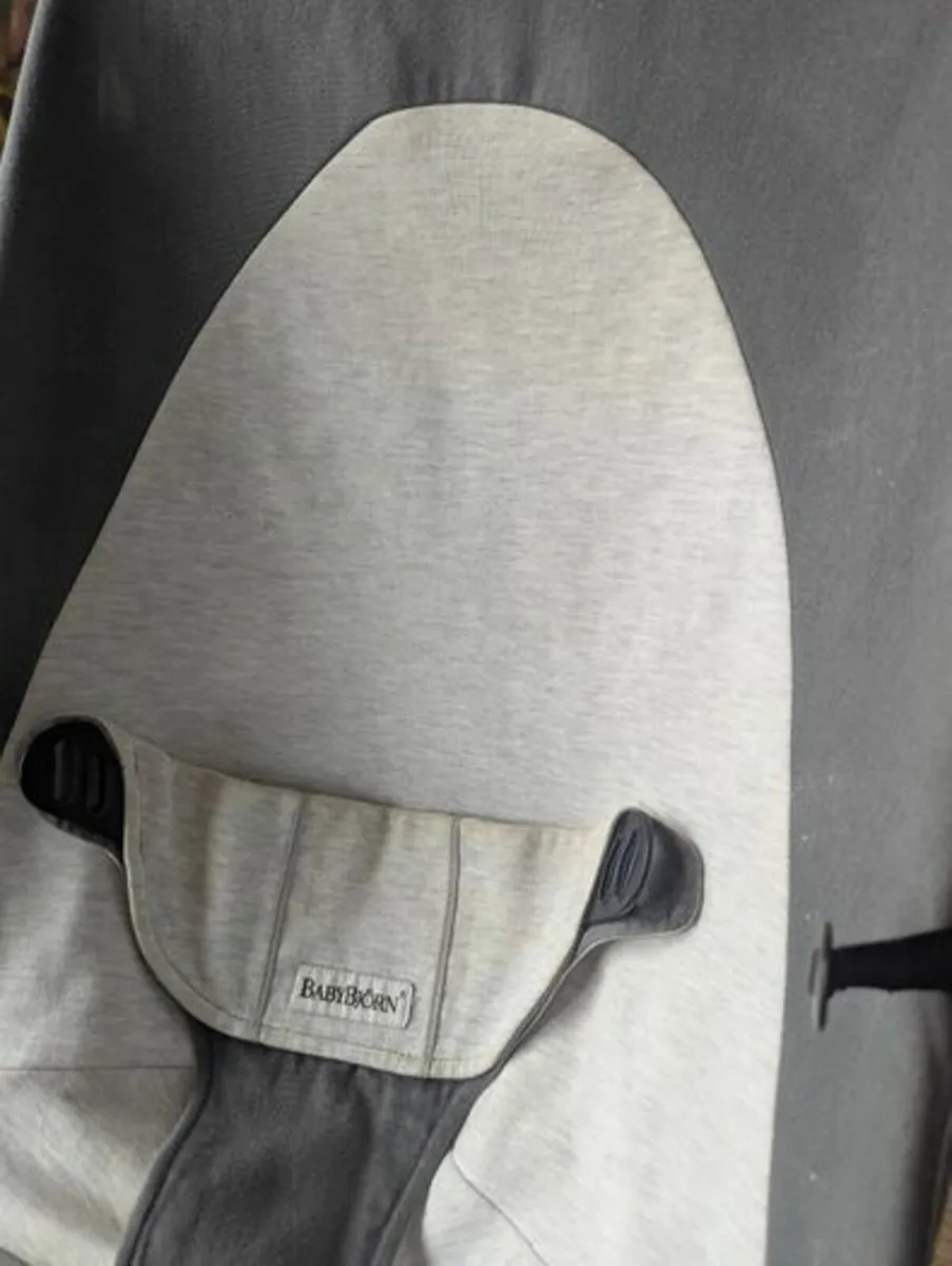 Babybjorn baby bouncer - Image 3