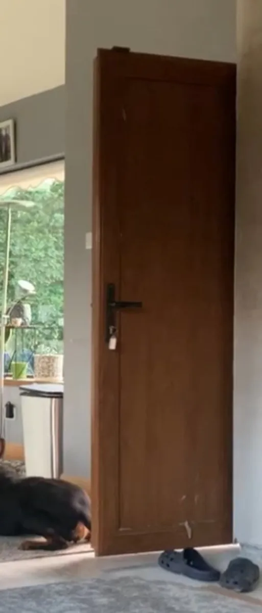 Windows & door - Image 2