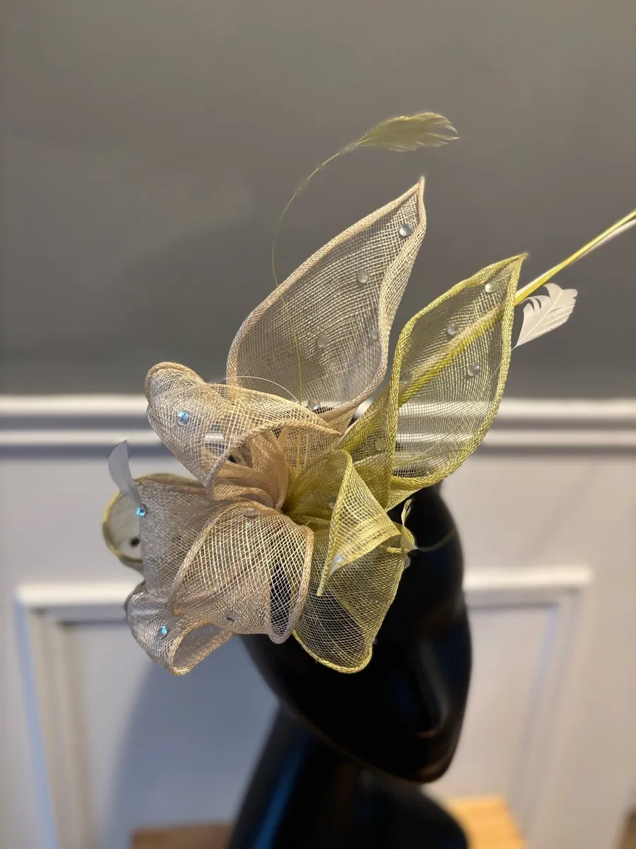 Hats / Hat Hire/ Fascinator’s - Image 3